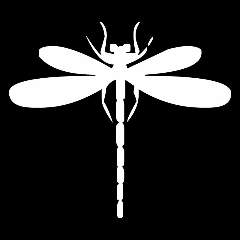 Insecte libellule