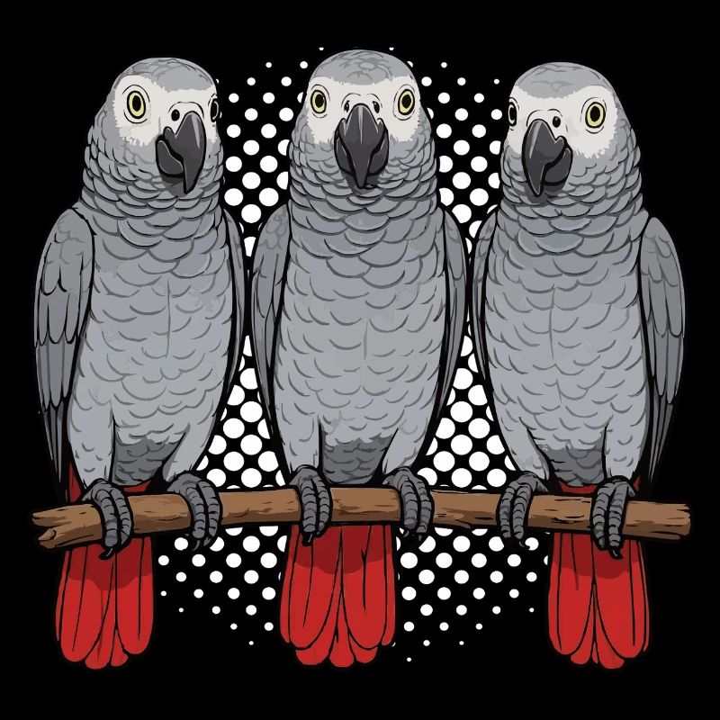 African grey parrot parrot owner parrot keeper