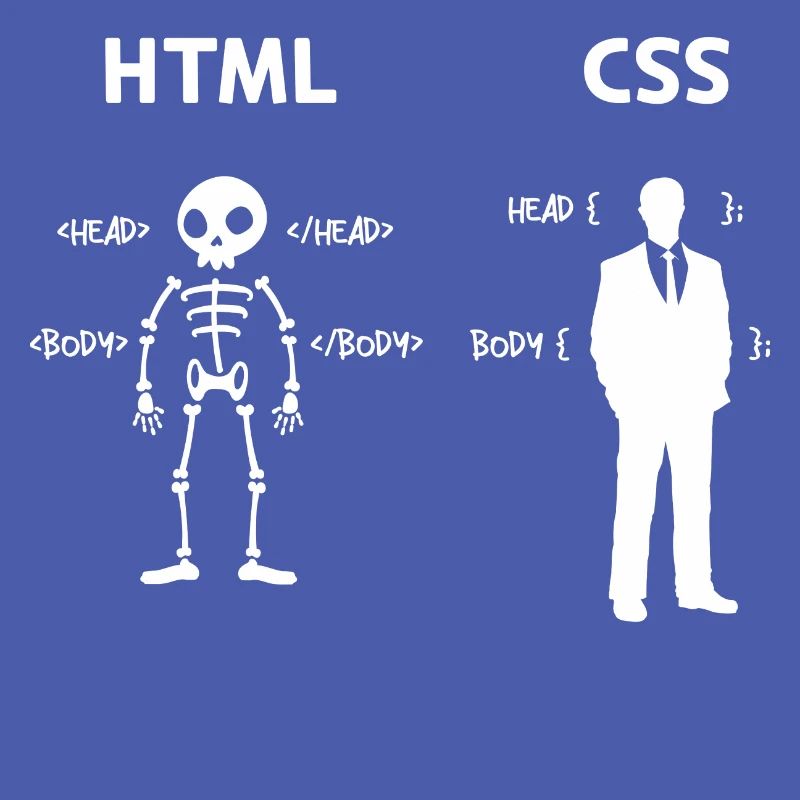Code Css C++ Php Java Developer Code Scripting