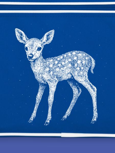 Fawn