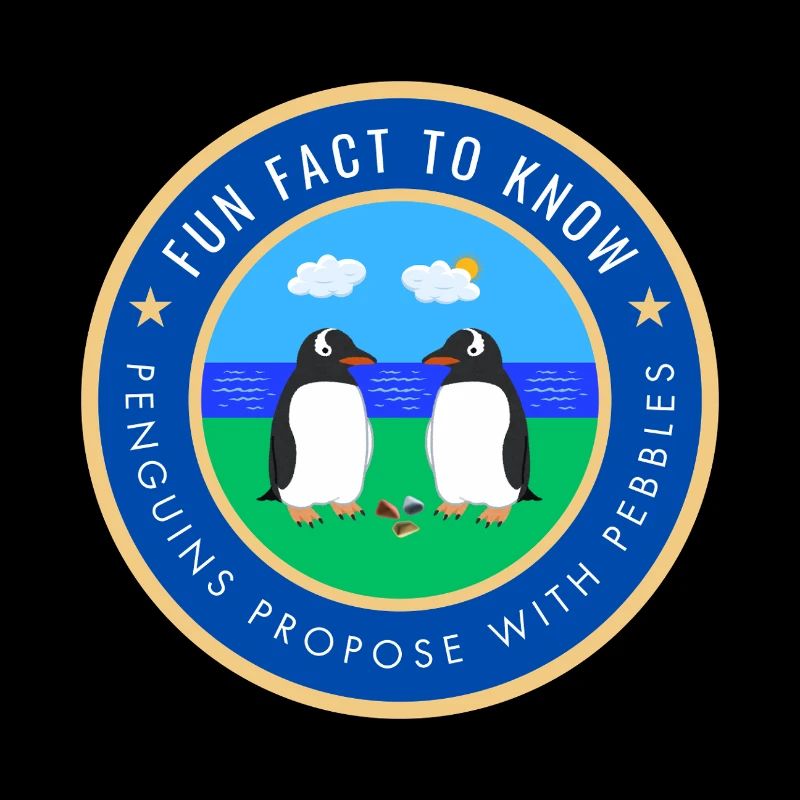 Penguins propose with pebbles