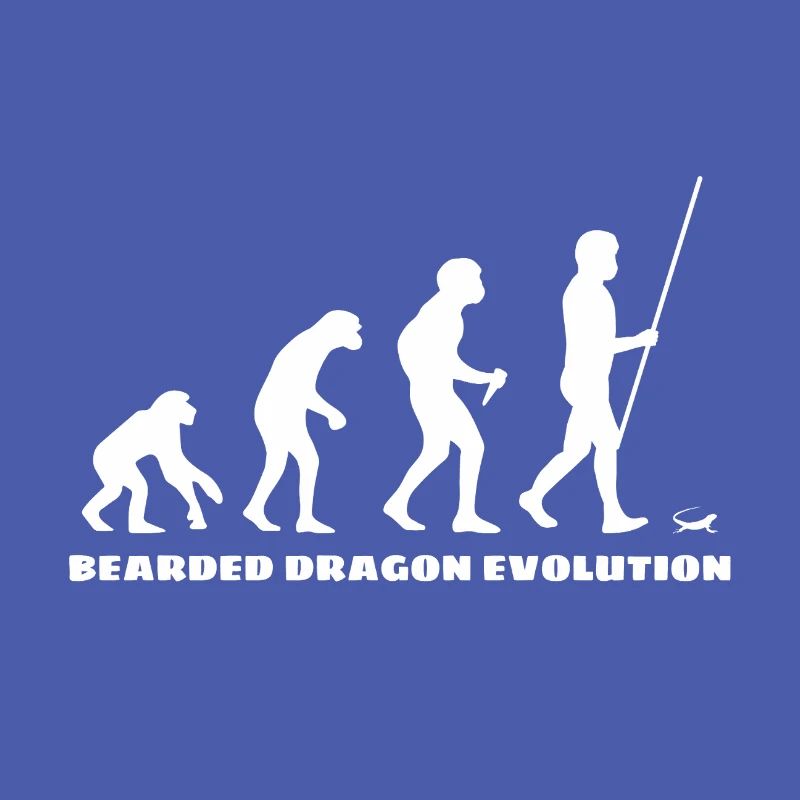 Bearded Dragon Bartagame Evolution