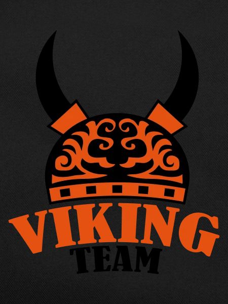 viking team 2