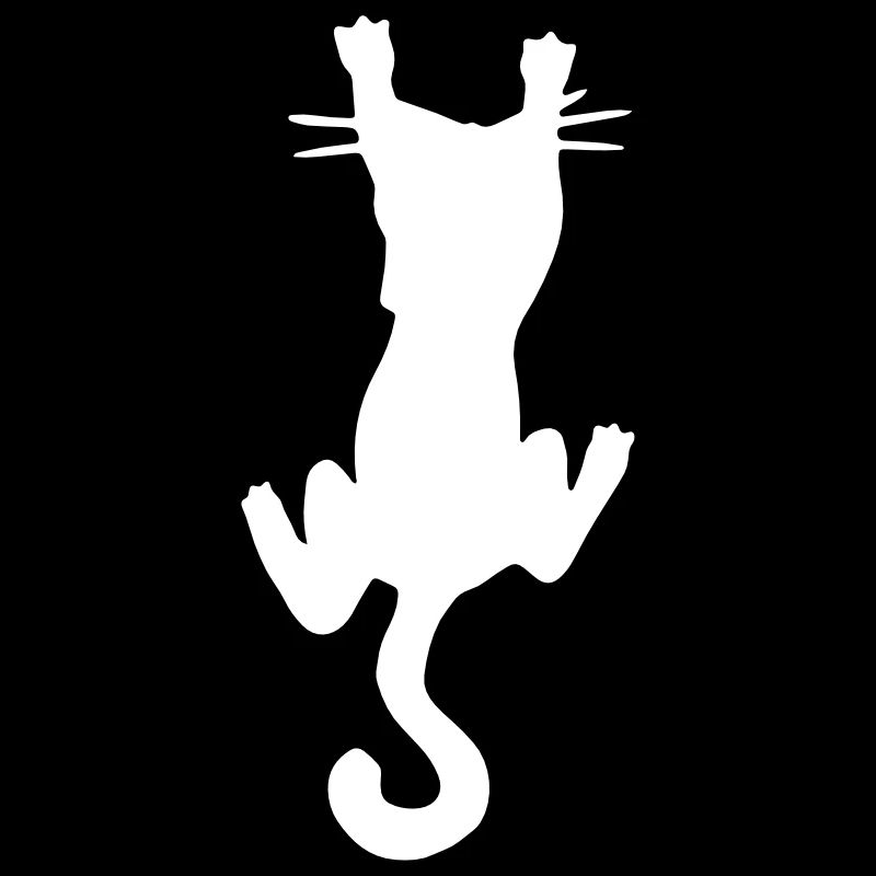 Chat drôle / chat drôle - griffe - amour de chat