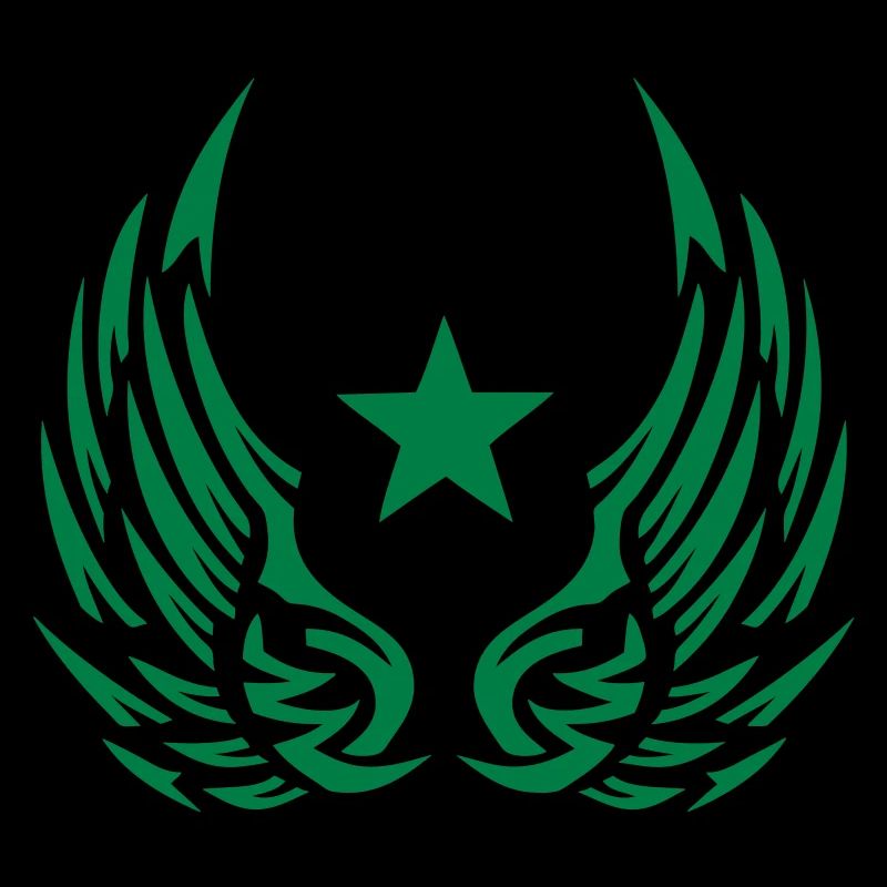 aile aille etoile logo 28052