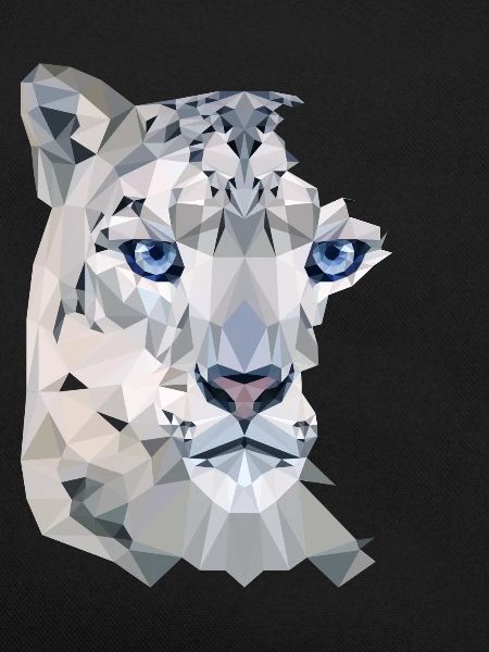 Snow Leopard Split