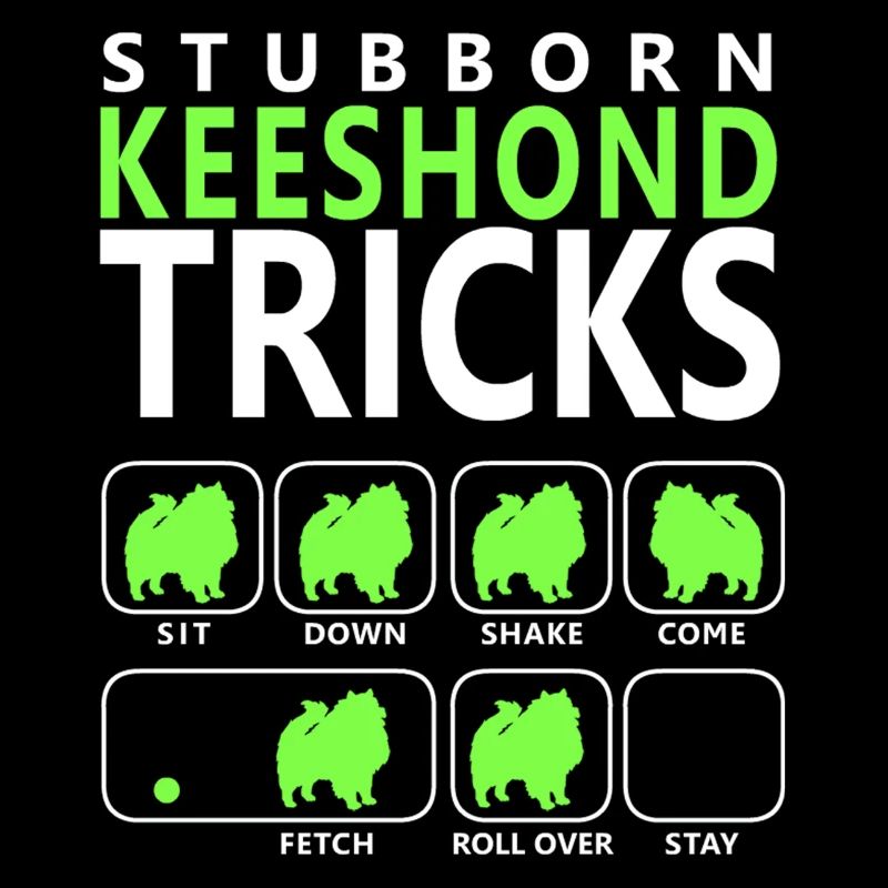 Stubborn Keeshond Tricks