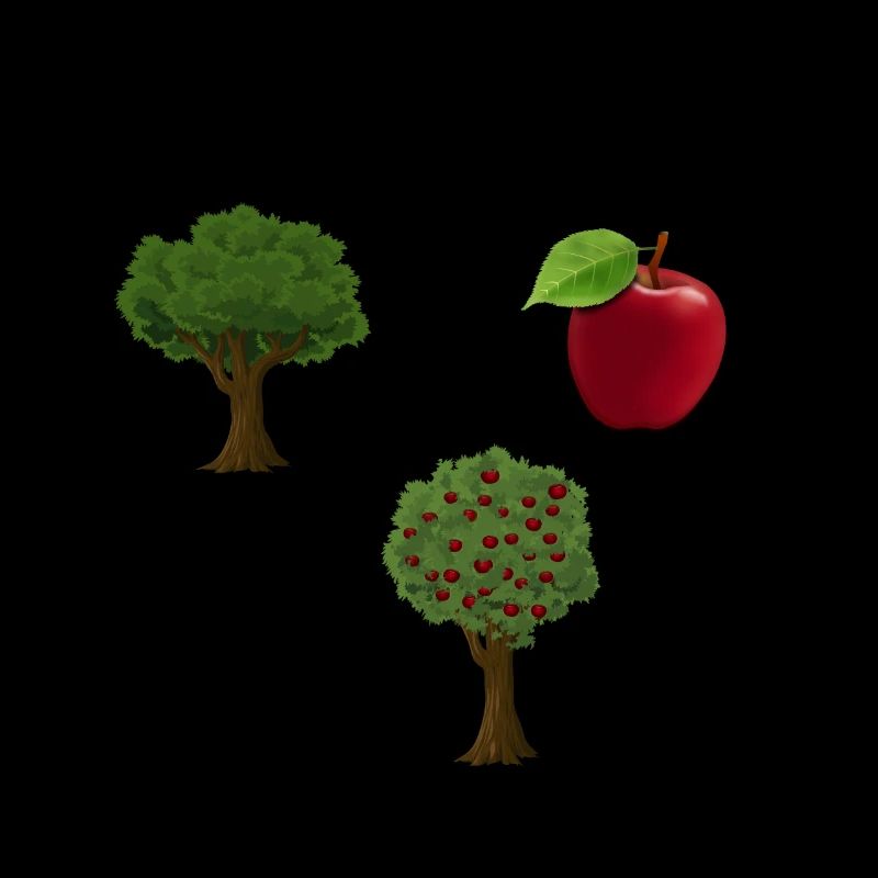 Plant + apple = apple tree