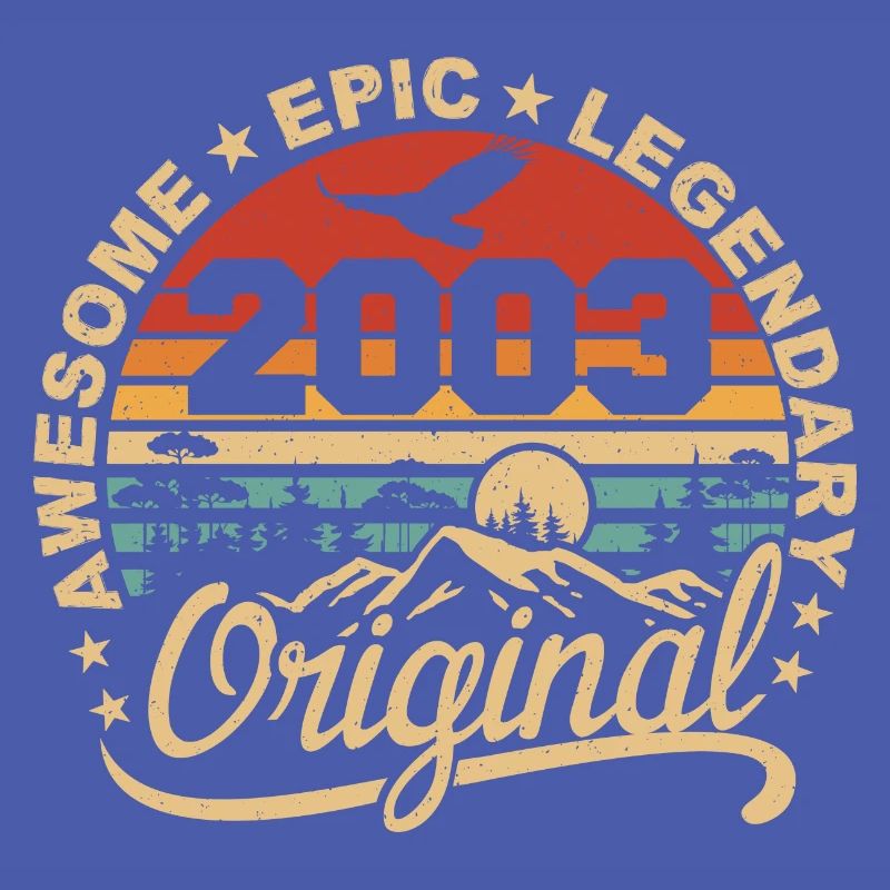 Original 2003 Retro 2003 Birthday Gift 2003