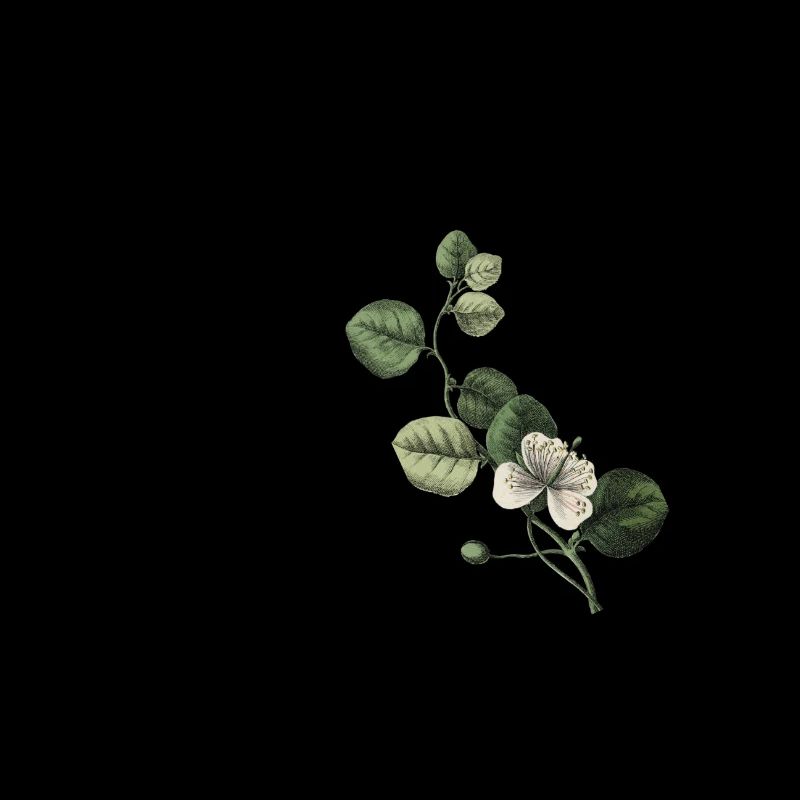 Nummer 60 Blumengrün - 60. Geburtstag Blumen