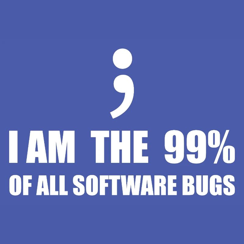 Programmeur Computer Scientist