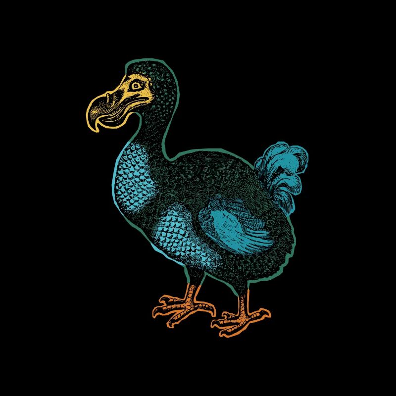 Dodo etching black with color blocks