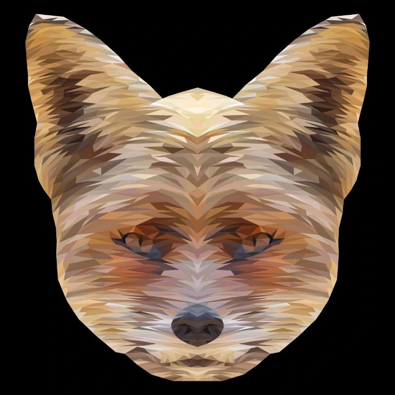 Fox Polygon