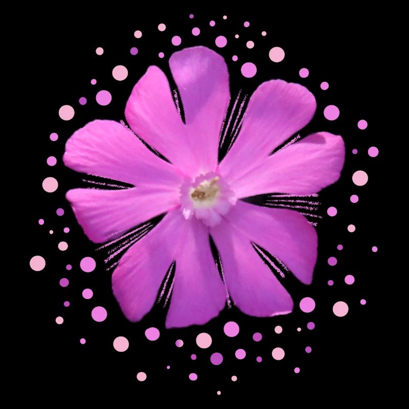 fleur rose