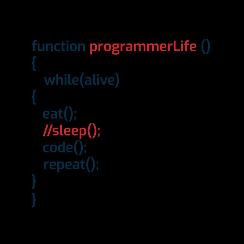 Programmeur informatique Codeurs Software Engineers Gift
