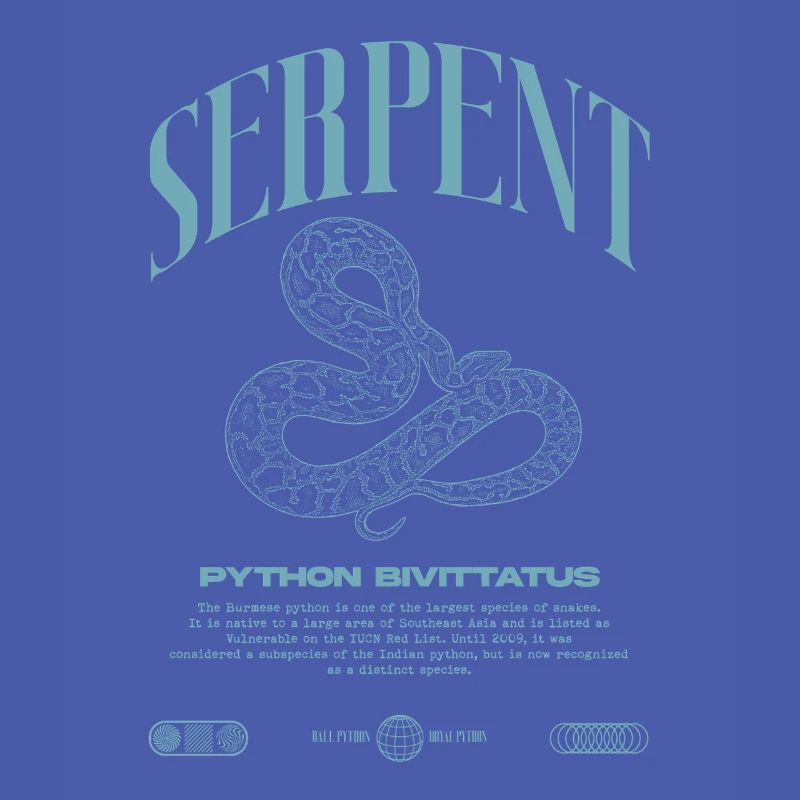 Burmese Python Modern Reptile Keeper Streetwear