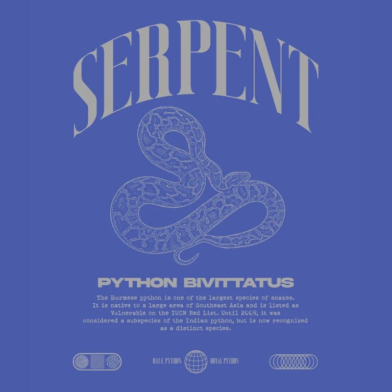 Burmese Python Modern Reptile Keeper Streetwear