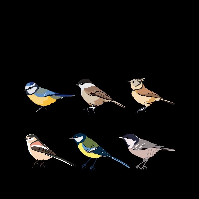Bird watching Funny "nice tits" Gift