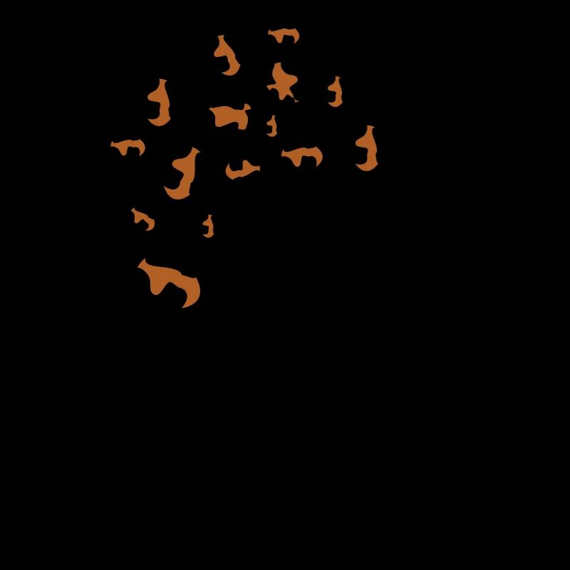 Letter o leopard patterns
