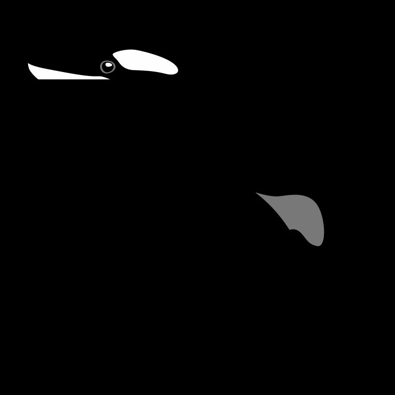 jumping orca