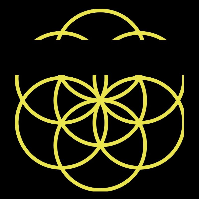 Blume des Lebens - beginning