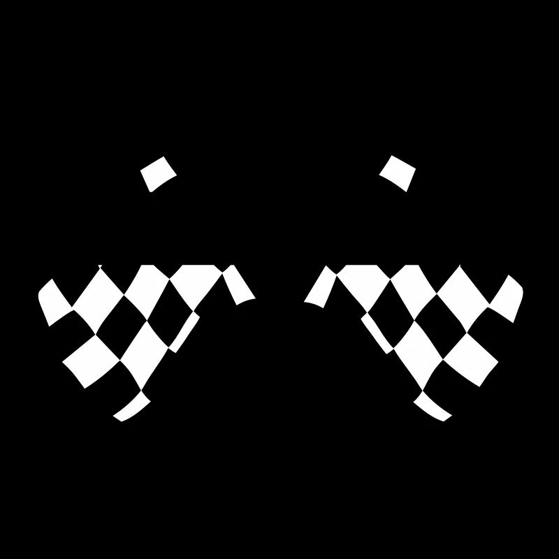 Chequered Racing Flags