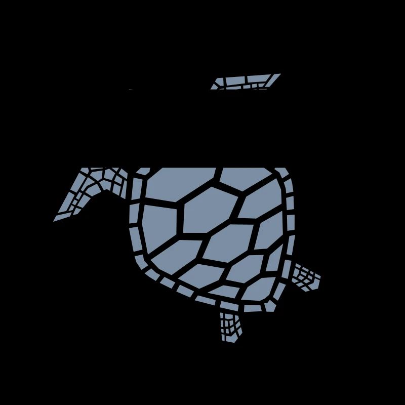 sea turtle