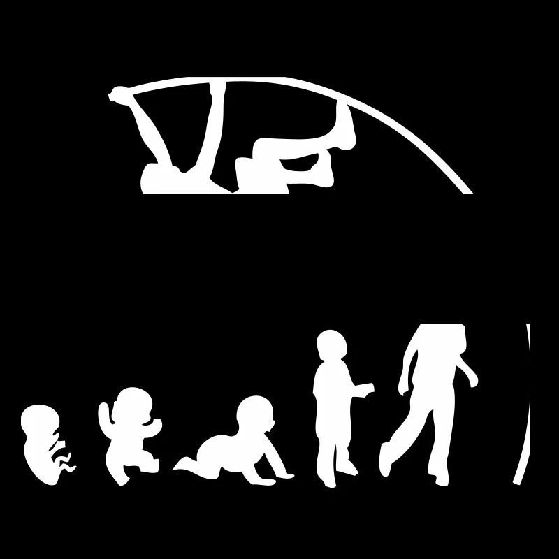 Evolution pole vault perch