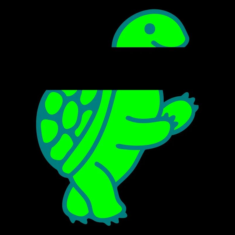 Tortue 2