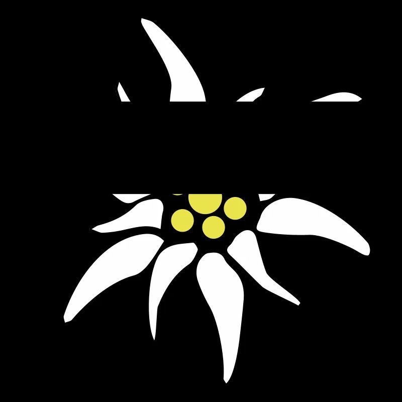 edelweiss