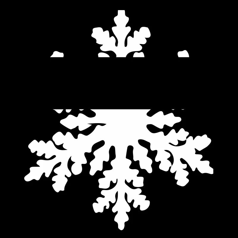 snowflake 2
