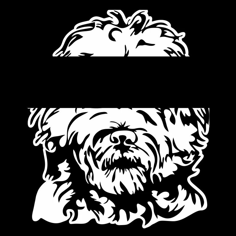 PORTRAIT DE LABRADOODLE