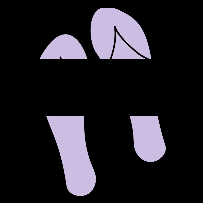 flipflops