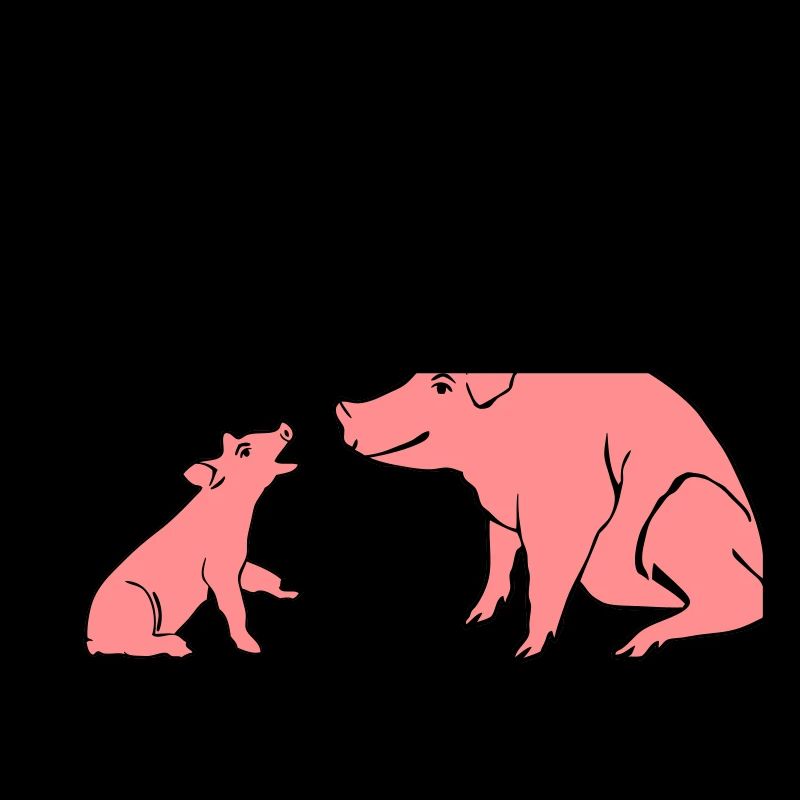 BBQ Schweine
