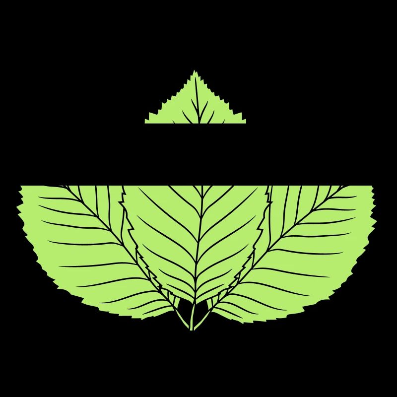 3 feuilles de hêtre feuille arbre forme de plante clipart d