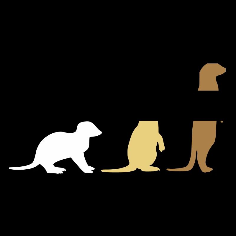 Meerkat three vector