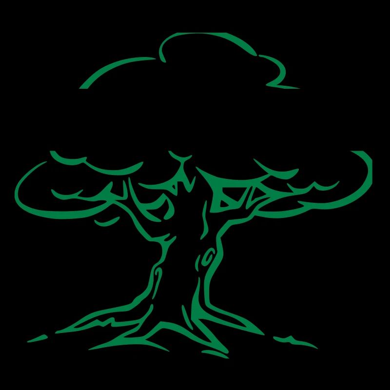 Arbre Forêt Nature