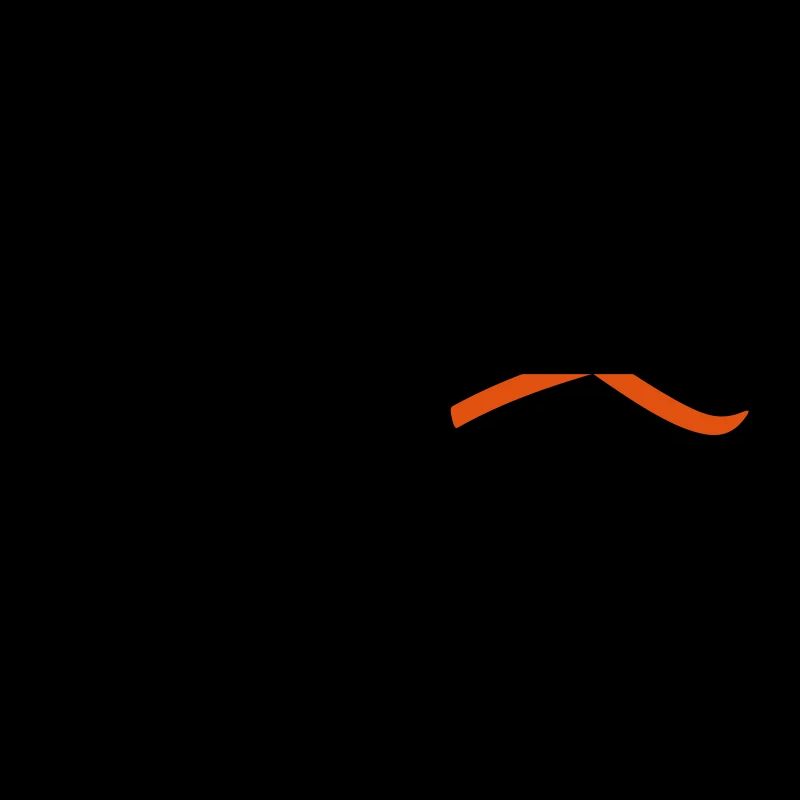 ski