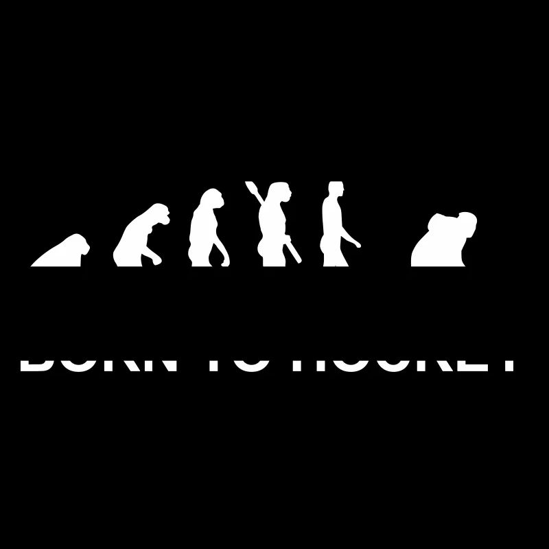 Évolution Hockey sur glace