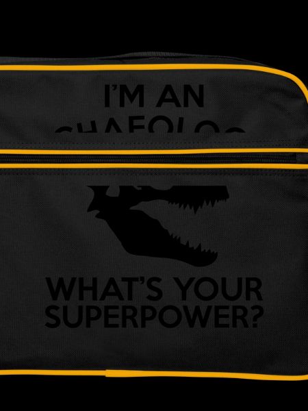 ARCHAEOLOGIST SUPERPOWER