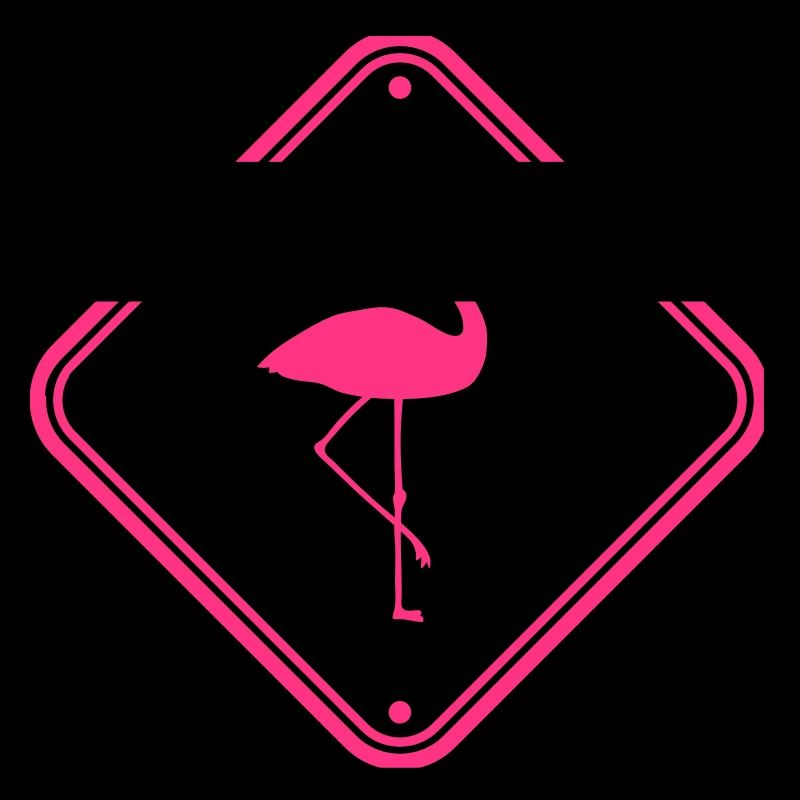 warning note caution caution shield danger fla