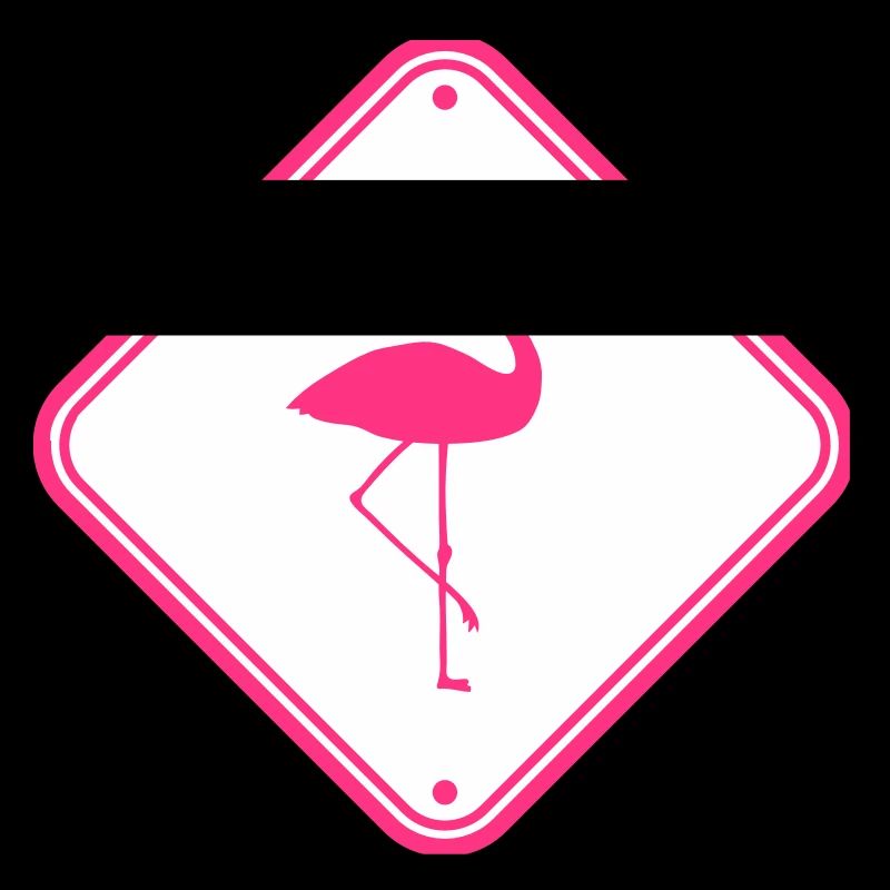 warning note caution caution shield danger fla