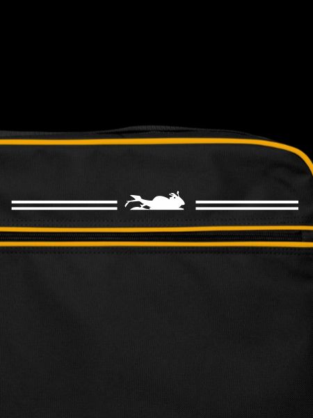 motorcycle racing line