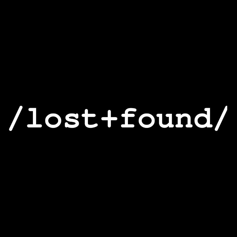 Lost+Found - Ordner /lost+found/