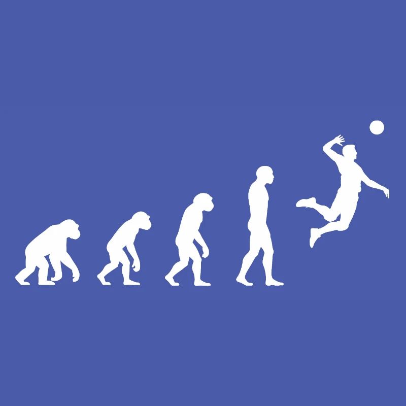 Evolution Volleyball