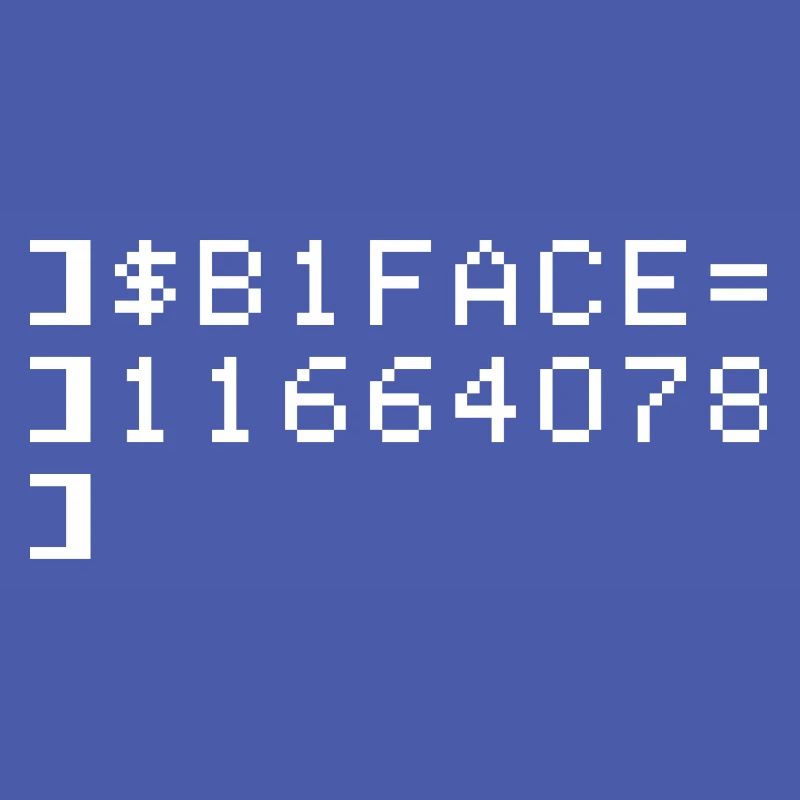 B1FACE Biface Code hexadécimal 8 bits Geek