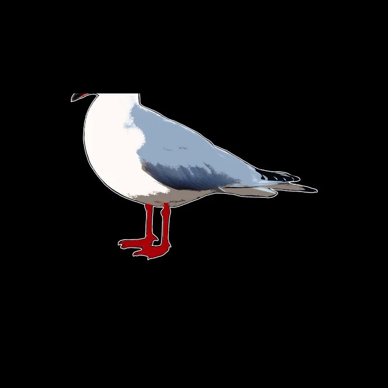 Möwe