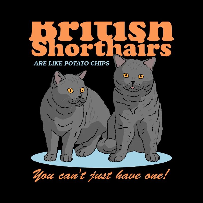 Britisch Kurzhaar Katzen Geschenk