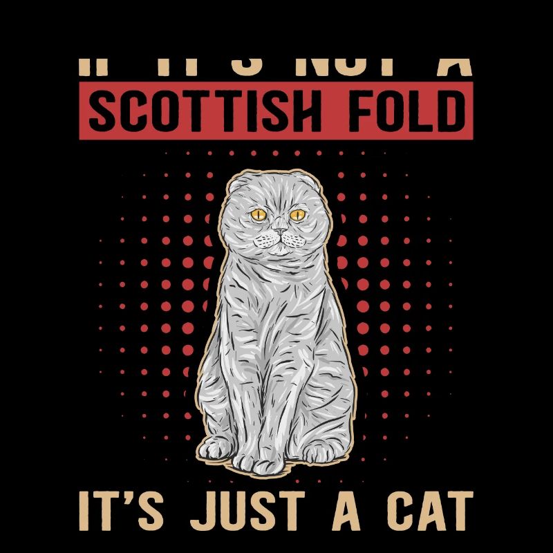 Scottish Folding Ear Cat Scottish Fold Gift