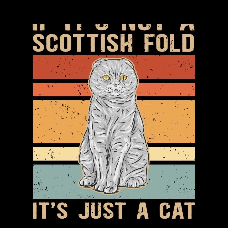 Scottish folding ear cat | Scottish Fold Gift
